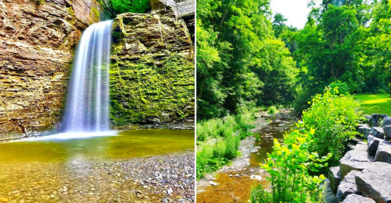 This New York Gorge Has A Dramatic Waterfall Most Travelers Miss Near Watkins Glen