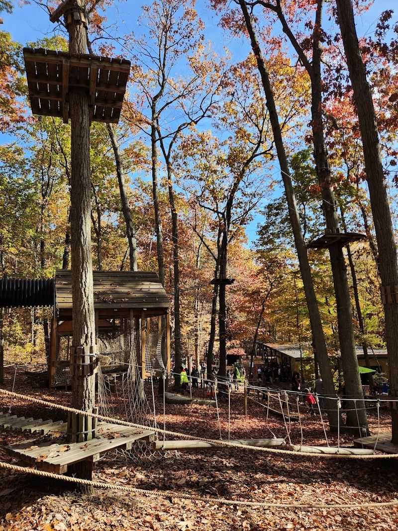 A Treetop World Unlike Anything Nearby