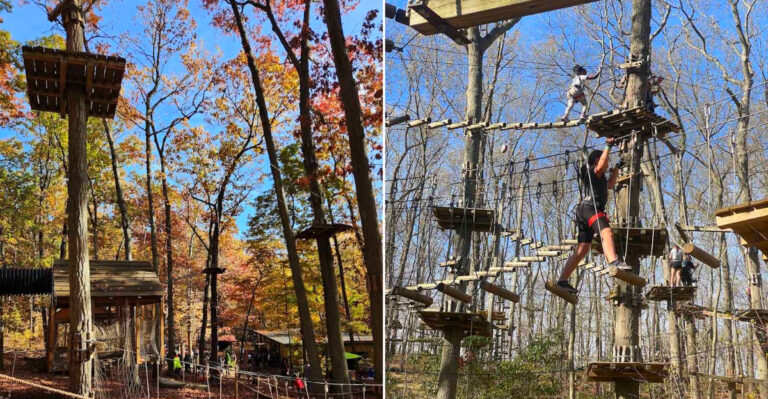 This New York Zip Line Course Sends You Flying Through The Treetops On 49 Different Lines