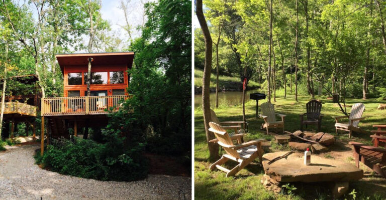 This North Carolina Treehouse Hotel Lets You Spend The Night High Among The Trees