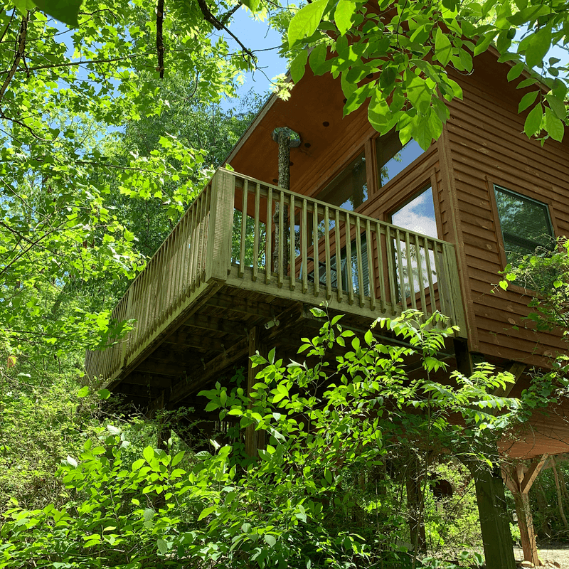 Six Treehouses Keep The Resort Peaceful And Personal