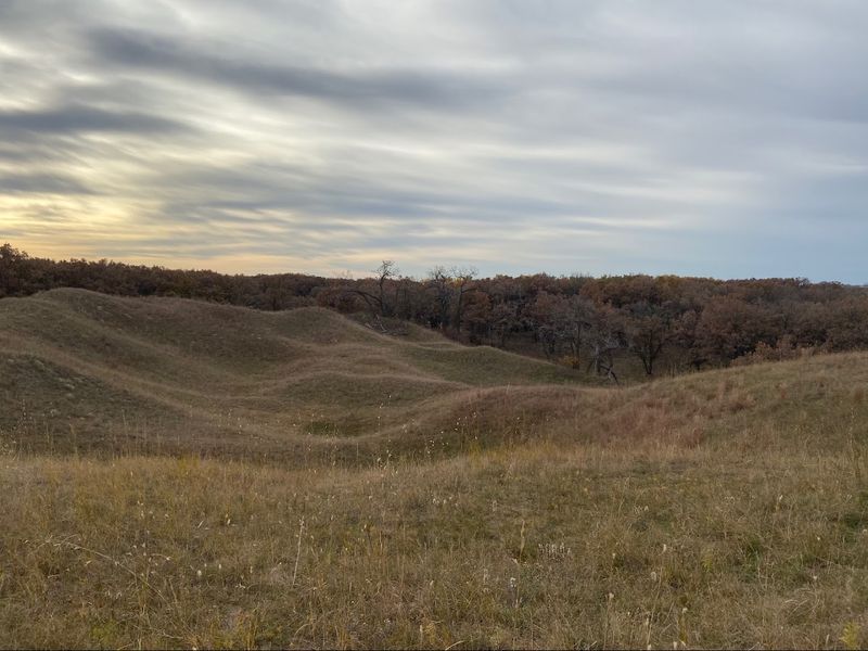 Sheyenne National Grassland