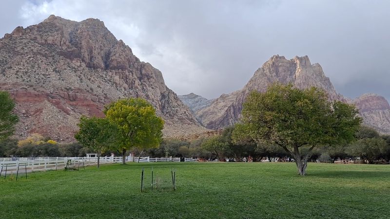 A Desert Oasis With Real Grass Feels Like A Small Miracle Here