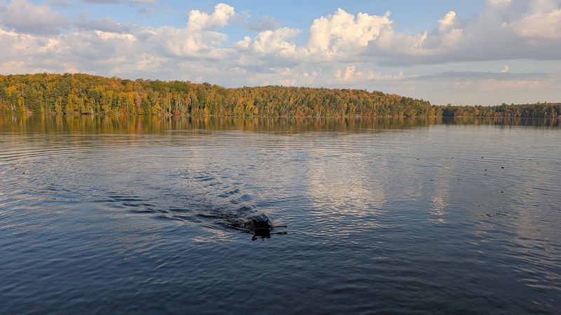Crystal-Clear Waters That Set Lake Owen Apart