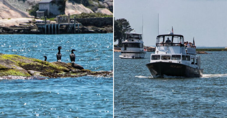 This Quiet Connecticut Island Is Only Reachable By Ferry And Offers Unforgettable Views
