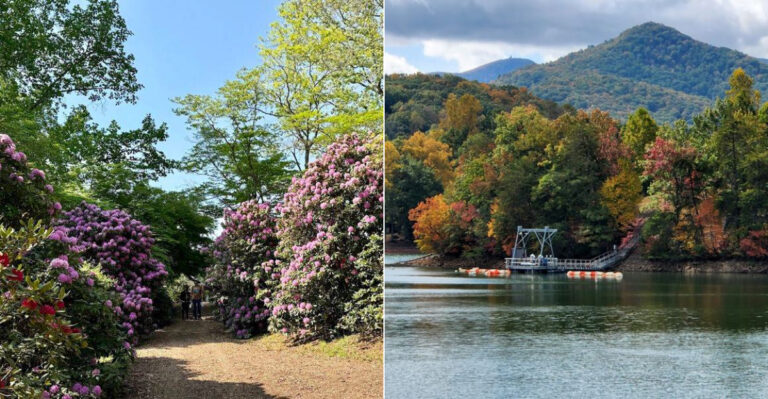This Quiet Georgia Mountain Town Is Easy To Drive Past Without Noticing