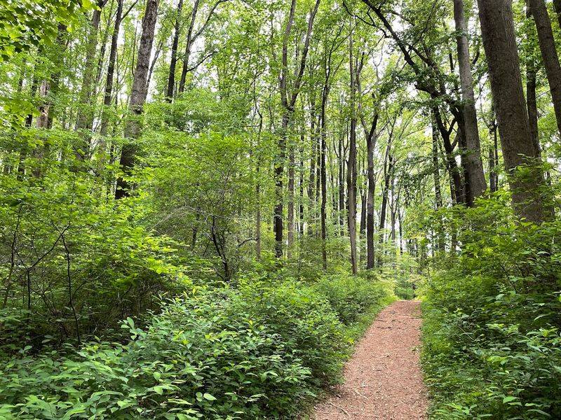 A Three Mile Loop Fits Perfectly Into A Quiet Morning