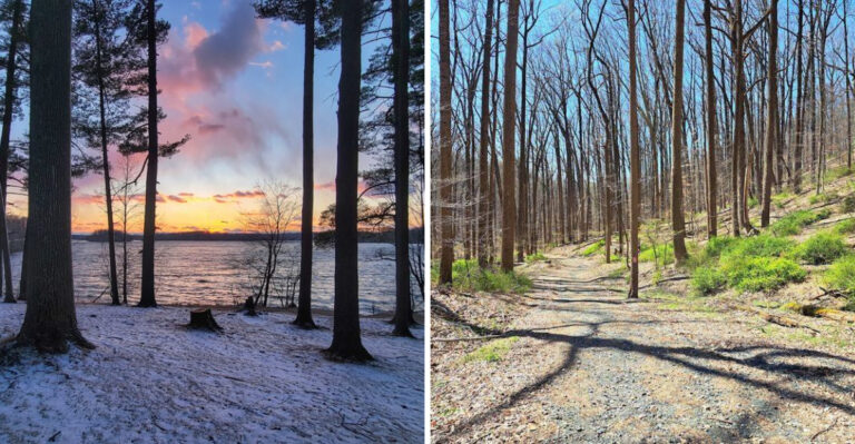 This Quiet Maryland Loop Might Be The Most Peaceful Morning Hike In The State