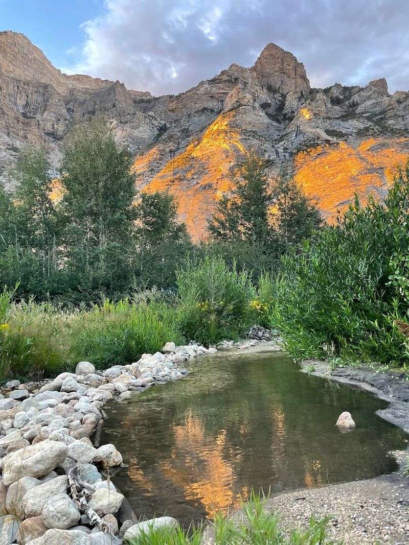 A Wild Canyon Backdrop Worth The Drive