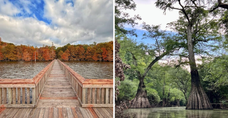 This Scenic Louisiana Highway Cuts Through Ancient Delta Countryside Few Ever See