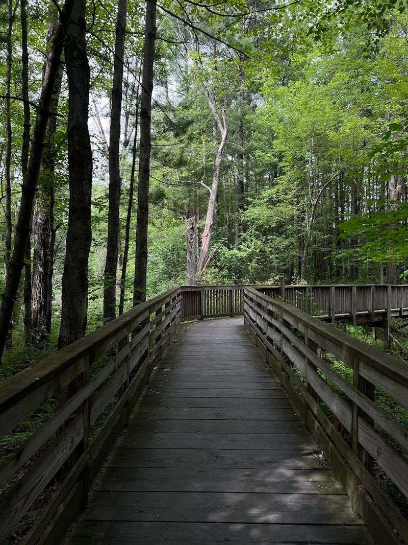 A Trail Built For Every Body