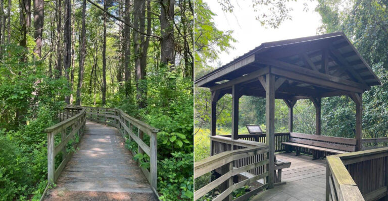 This Senior-Friendly Massachusetts Trail Is Perfect For Slow, Easy Walks