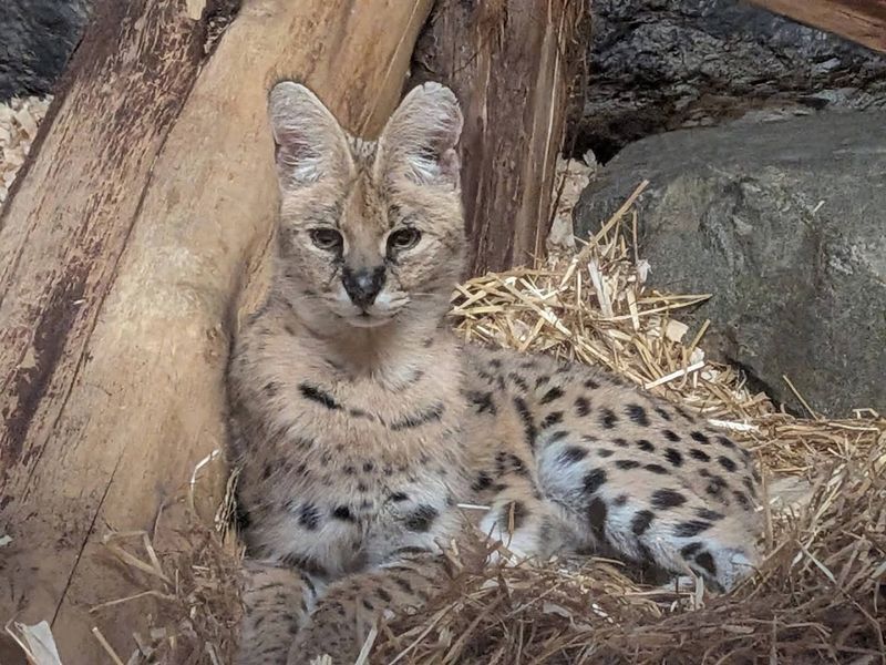 A Journey Into Wild Discovery