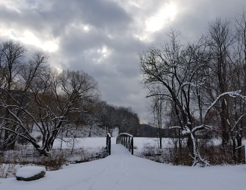 Colorful Seasonal Changes Throughout The Year