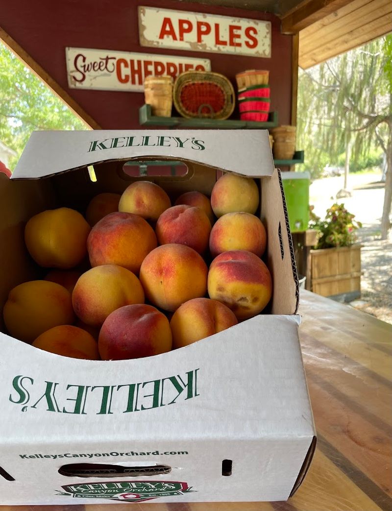 The Canyon Landscape Creates Ideal Conditions For Growing Fruit