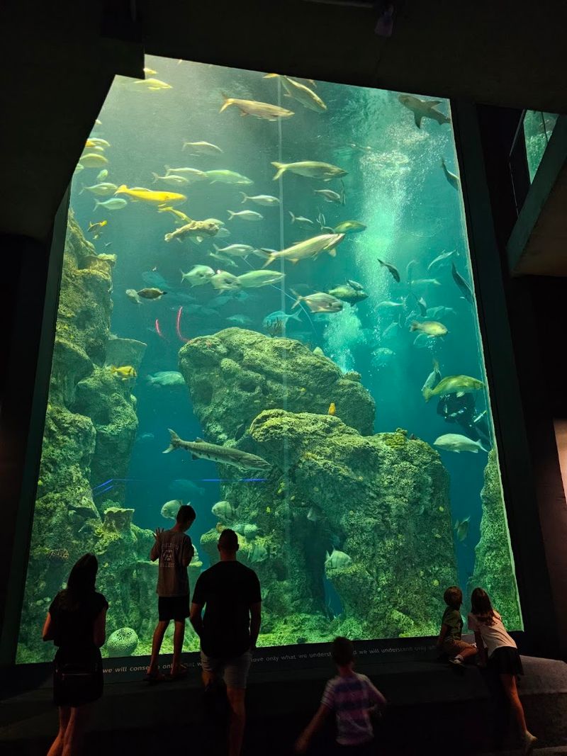 Marine Species And Their Unique Habitats