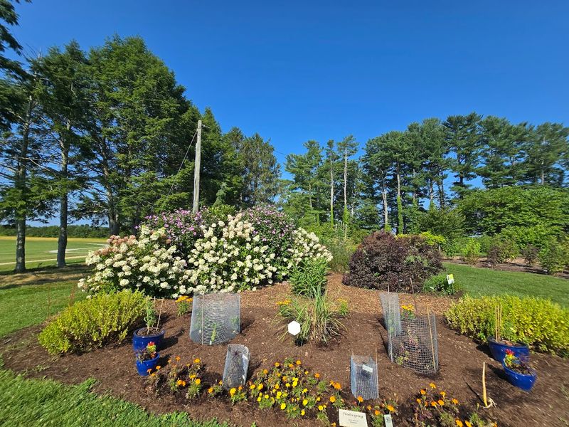 Why This Botanical Stop Feels Made For A Slow Summer Stroll