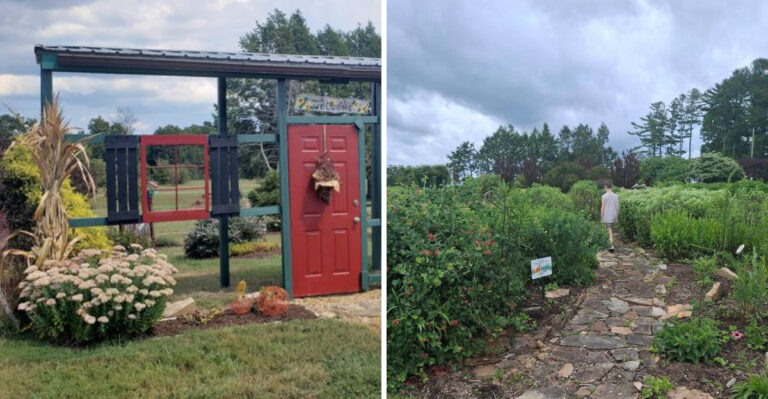 This Tennessee Botanical Garden Is The Most Relaxing Stop For A Summer Weekend