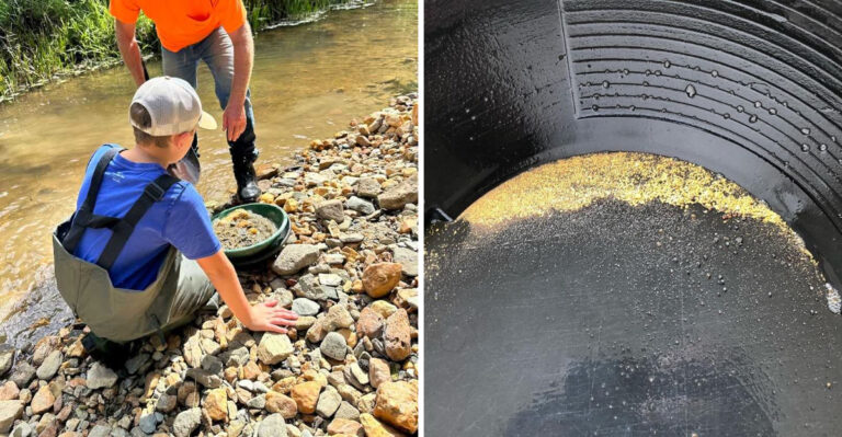 This Tennessee Forest Hides A Free Gold Panning Scavenger Hunt Across Designated Creeks