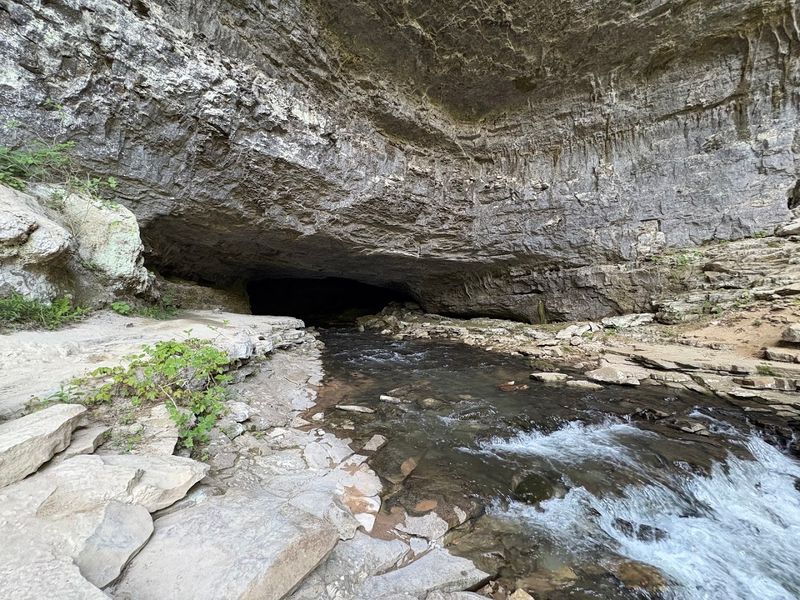 The Carter Natural Area Gateway