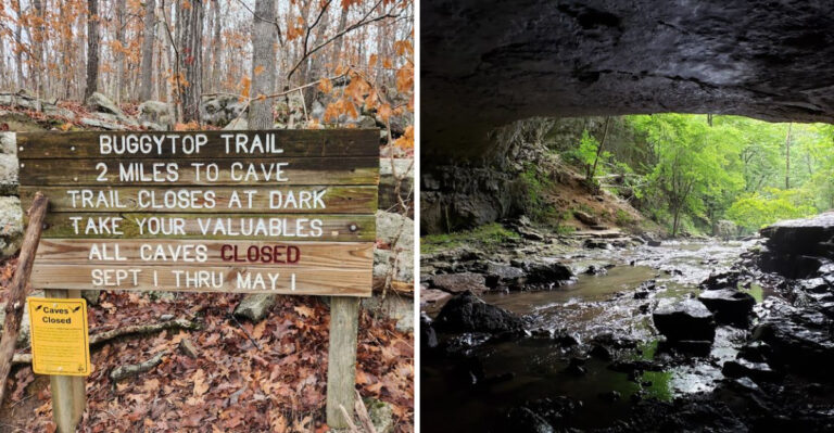 This Tennessee Hike Leads To A Cave Entrance 100 Feet Wide And 80 Feet High