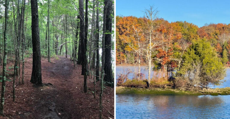 This Tennessee Lakeside Hike Leads Past A Limestone Bluff And Quiet Coves