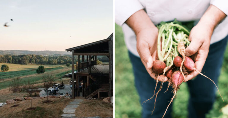 This Tennessee Preserve Pairs Peaceful Cabins With Food Grown Steps Away