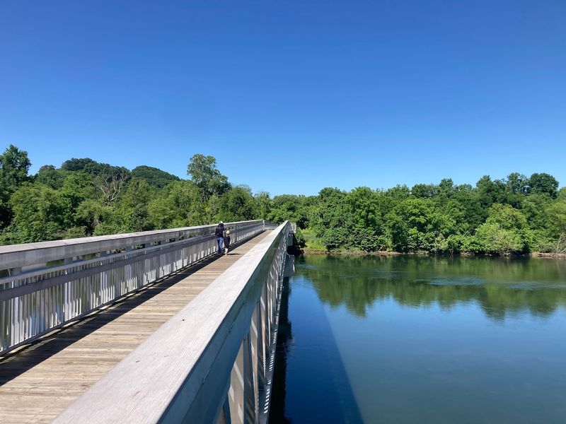 The French Broad River Views That Stop You Mid-Step