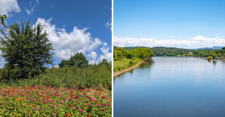 This Tennessee State Park Has River Views Meadow Trails And More Than 220 Bird Species
