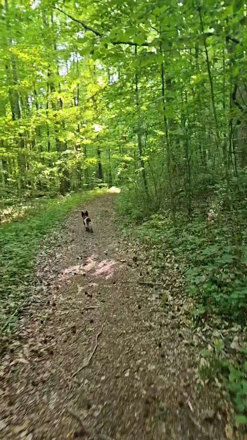 The Wilderness Opens Up With Every Step You Take