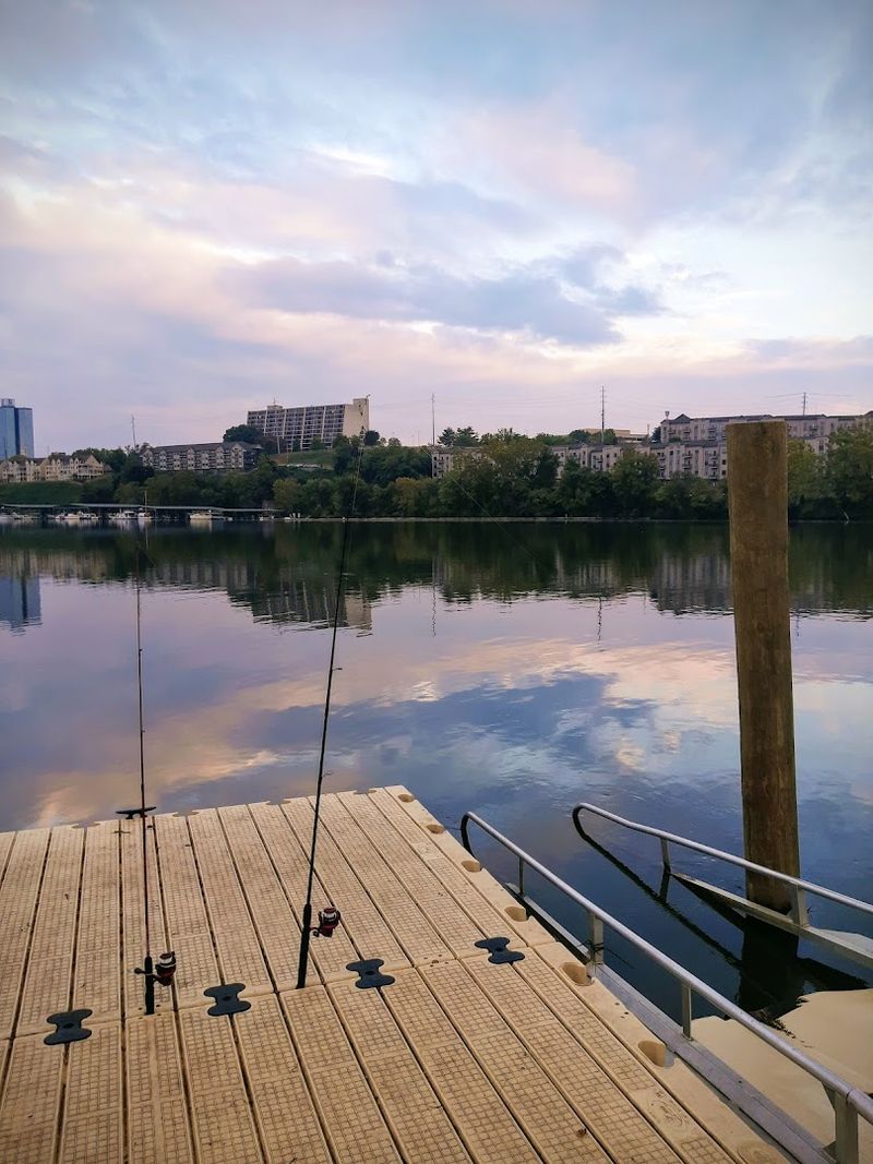 A Tennessee River Reverie