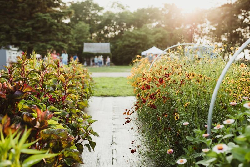 The Peak-Bloom Season Worth Planning Around