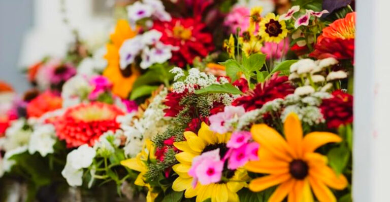 This Tiny South Dakota Flower Farm Becomes A Summer Photo Spot Every August