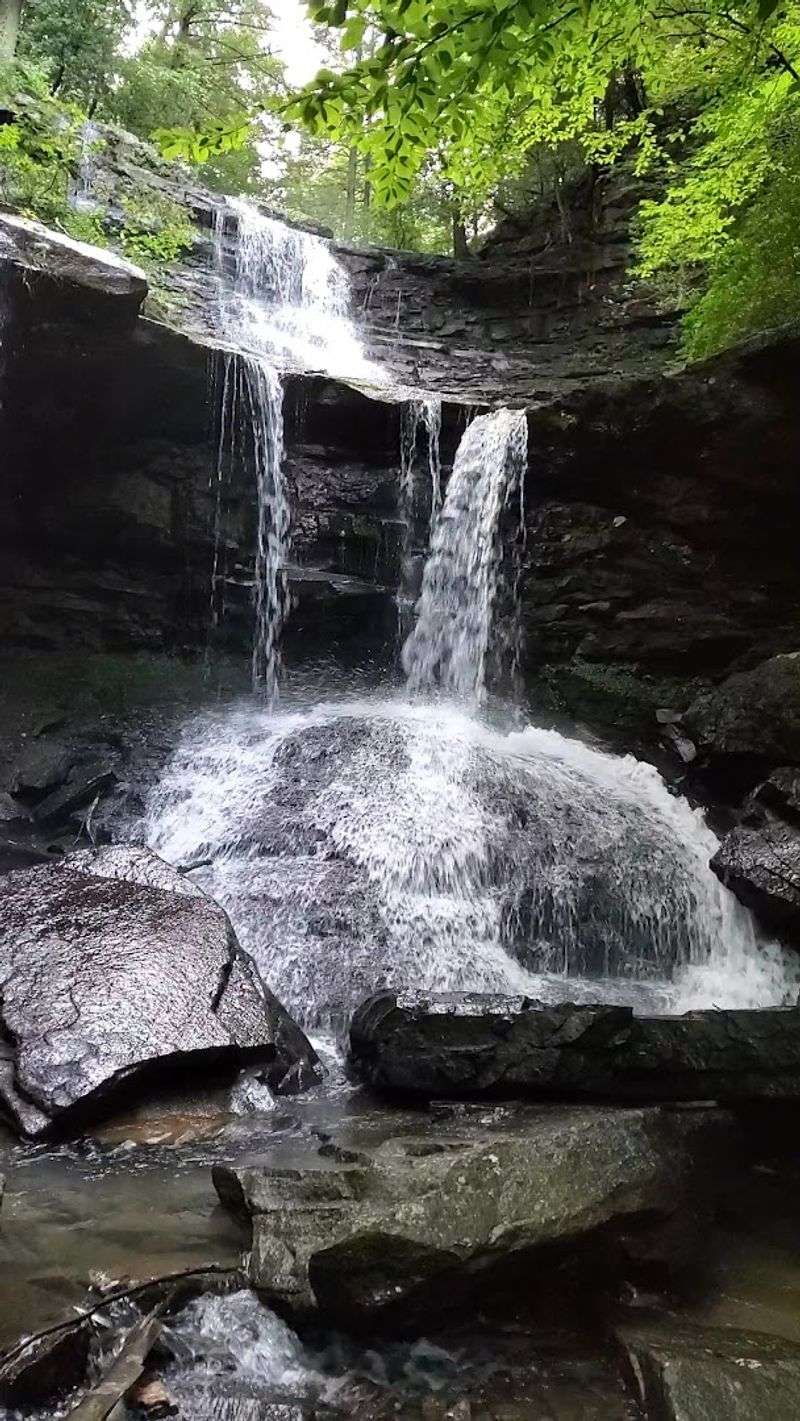 Reflections From The Savage Gulf