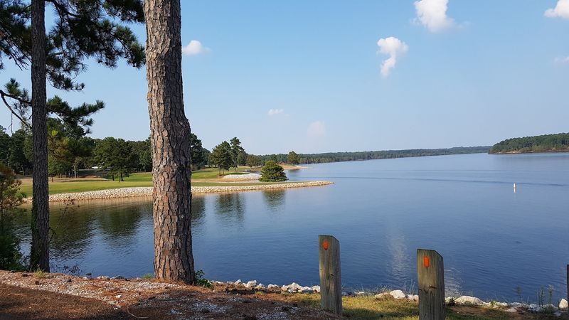 Wildlife Viewing Opportunities Around The Water