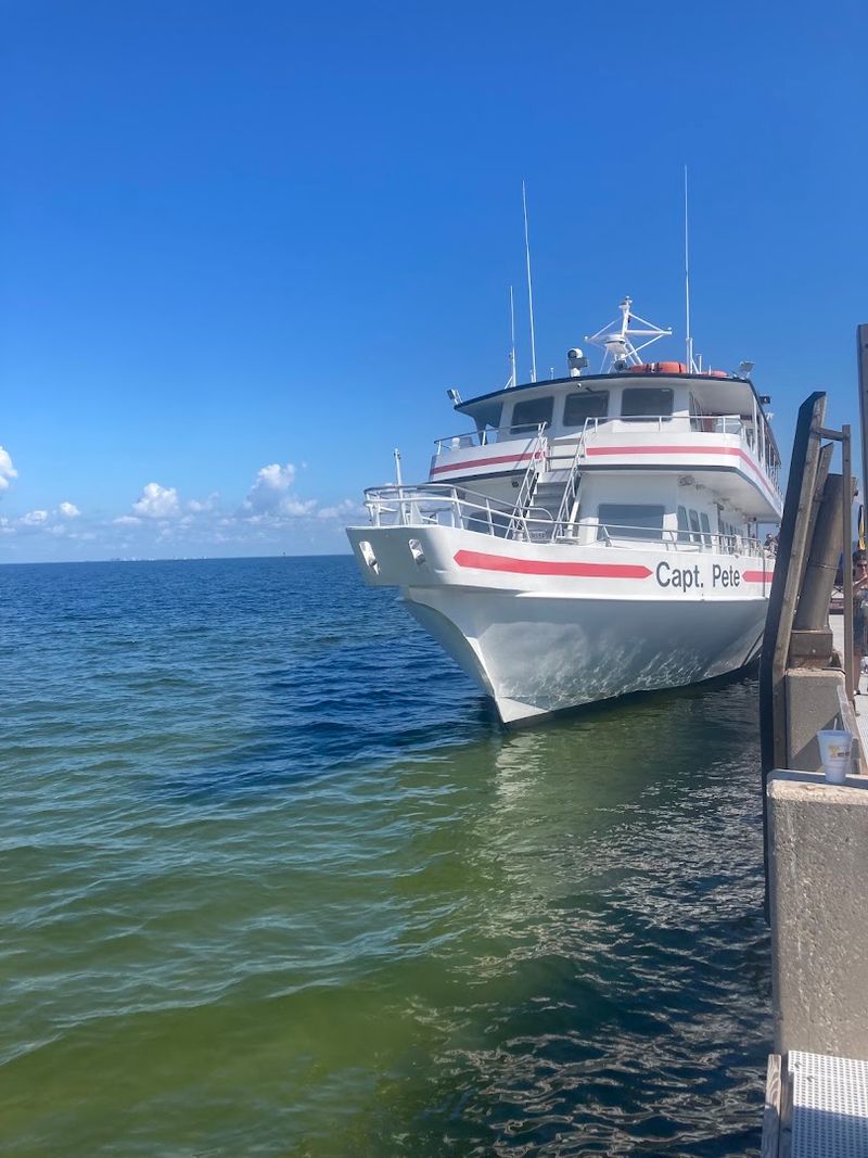 The Cruise That Changes Everything