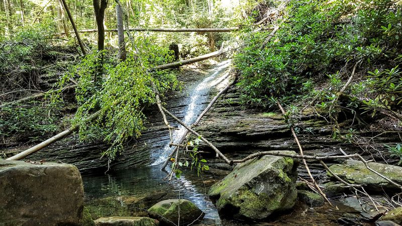 The Rock Pool That Defies Logic