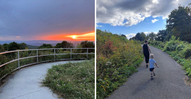 This Virginia Ridge Trail Opens To A Five-State View Most Hikers Never See