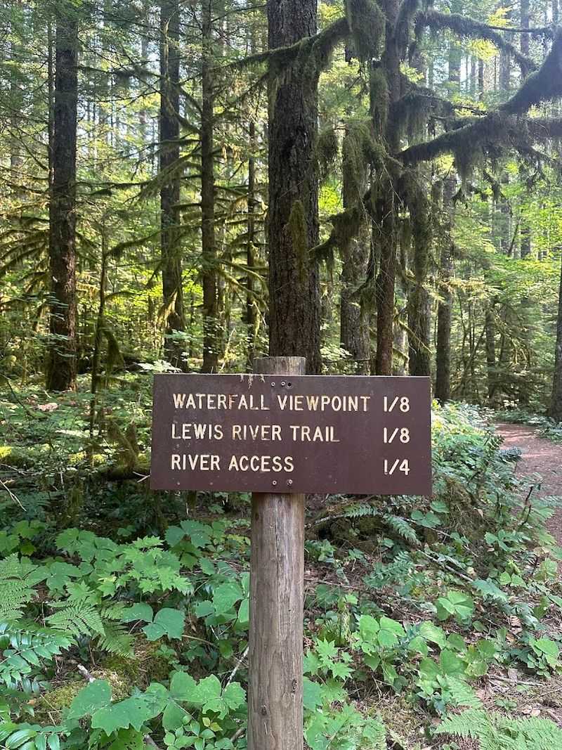 Preparing For Your Waterfall Trek