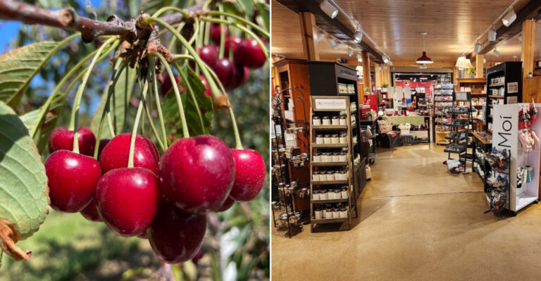 This Wisconsin Cherry Farm Turns Fresh Cherries Into Treats Worth Driving For