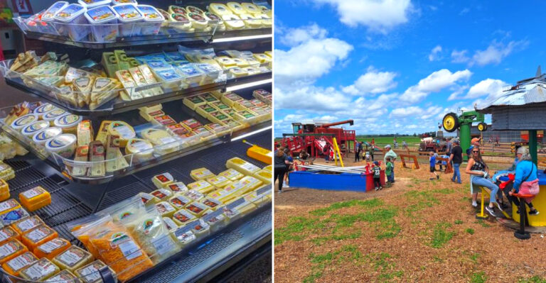 This Wisconsin Dairy Farm Store Makes Some Of The Freshest Cheese Curds In The State