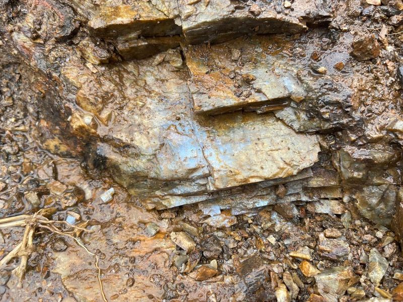 The Fascinating Story Beneath The Surface