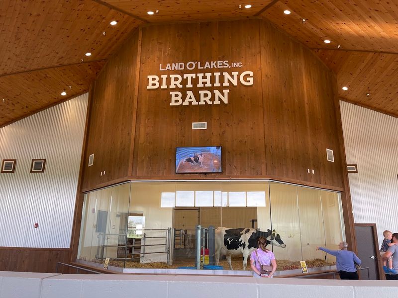 The Land O'Lakes Birthing Barn Experience