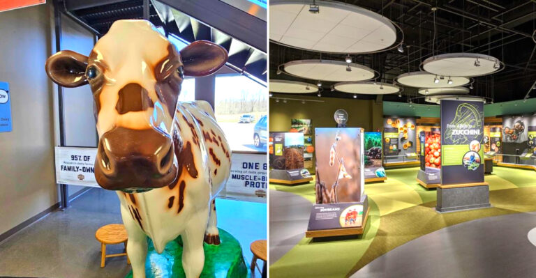 This Wisconsin Discovery Center Lets Kids Witness A Calf Being Born