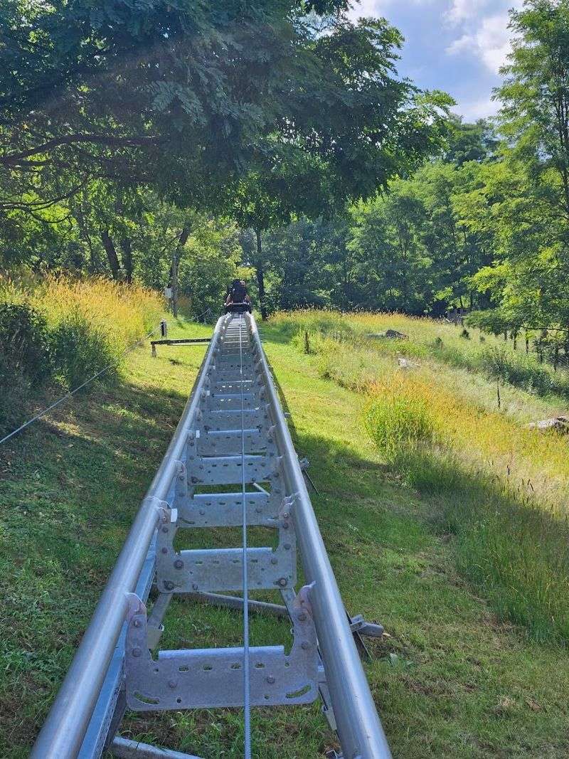 What A Mountain Coaster Actually Is