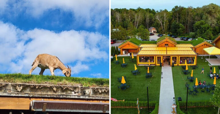This Wisconsin Roadside Restaurant Turned A Huge BLT Into A Must Try Food Adventure