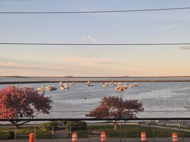The Perfect Vista For Any Occasion