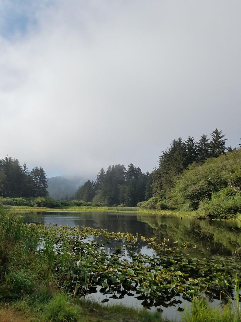The Best Time To Visit And What To Expect