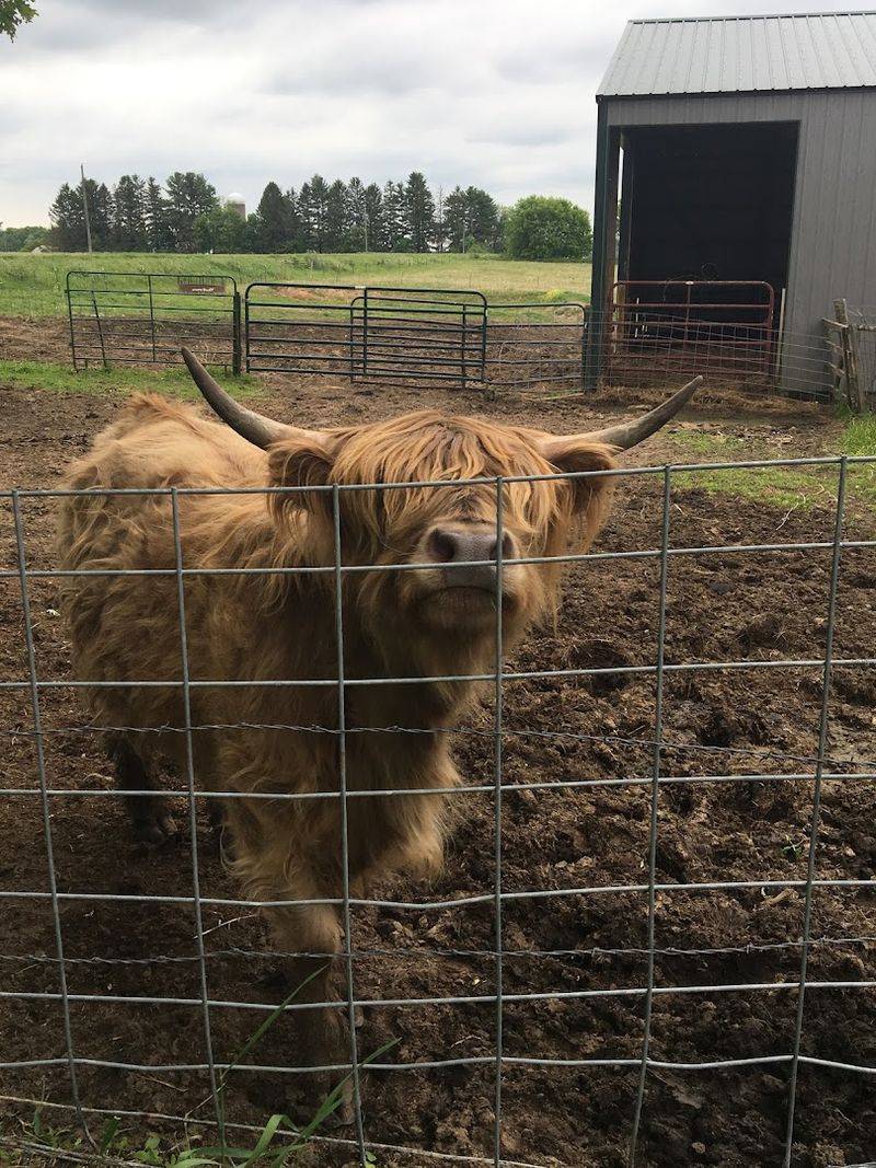 Lazy I Ranch In Clayton, WI