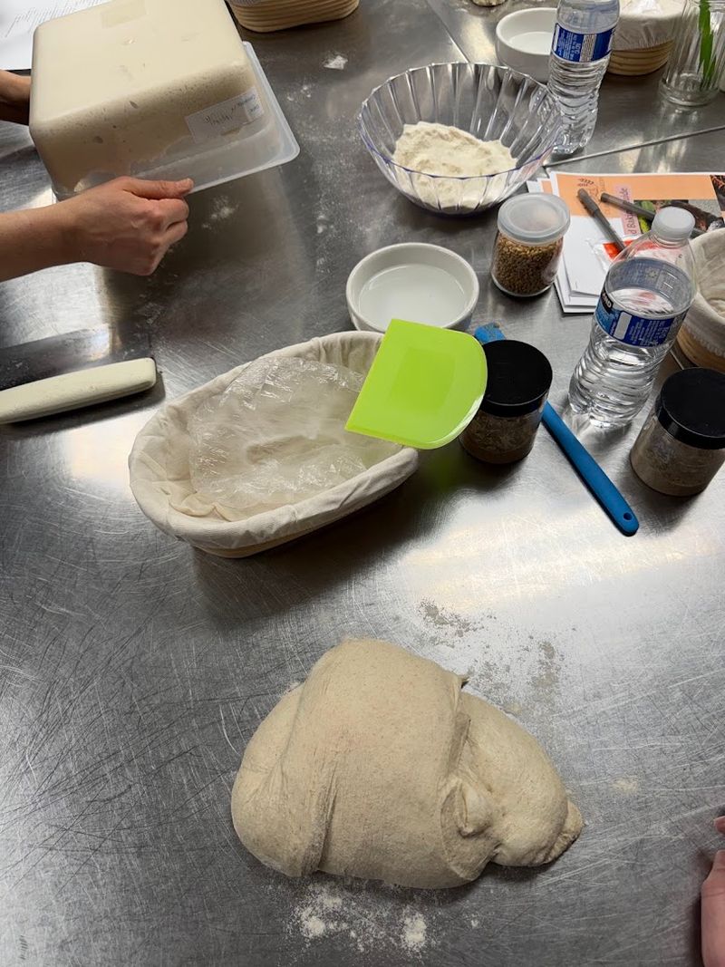 How Coastal Climate Influences Dough Development
